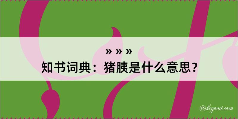 知书词典：猪胰是什么意思？