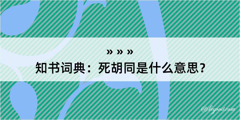 知书词典：死胡同是什么意思？