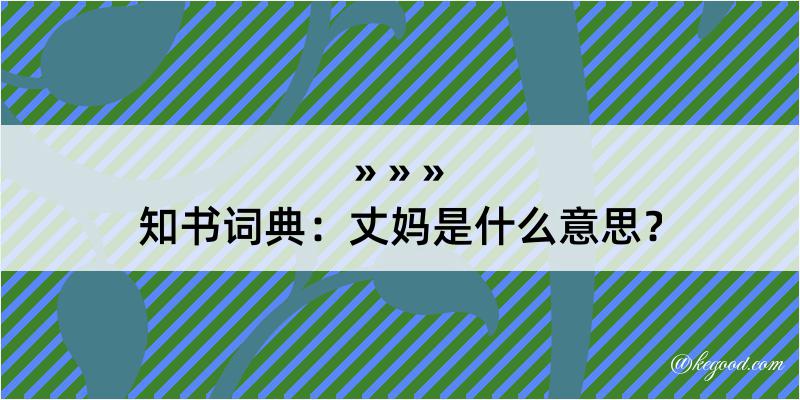 知书词典：丈妈是什么意思？