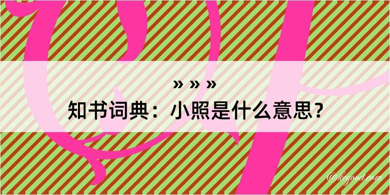 知书词典：小照是什么意思？