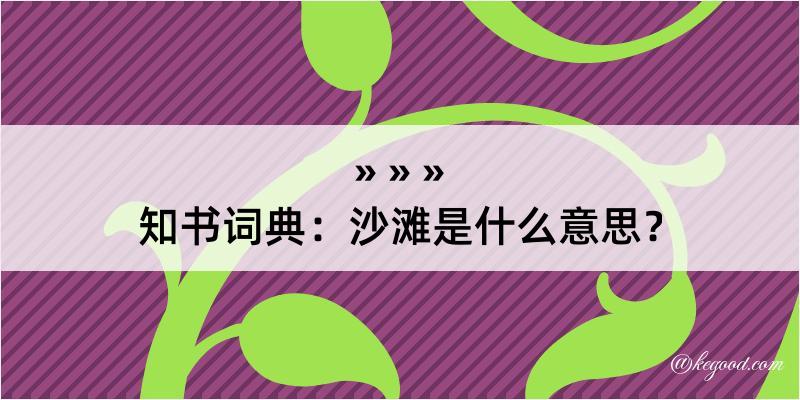 知书词典：沙滩是什么意思？