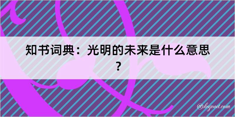 知书词典：光明的未来是什么意思？