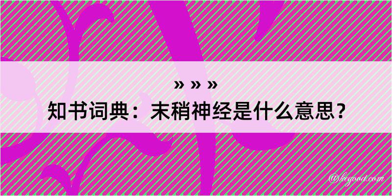 知书词典：末稍神经是什么意思？