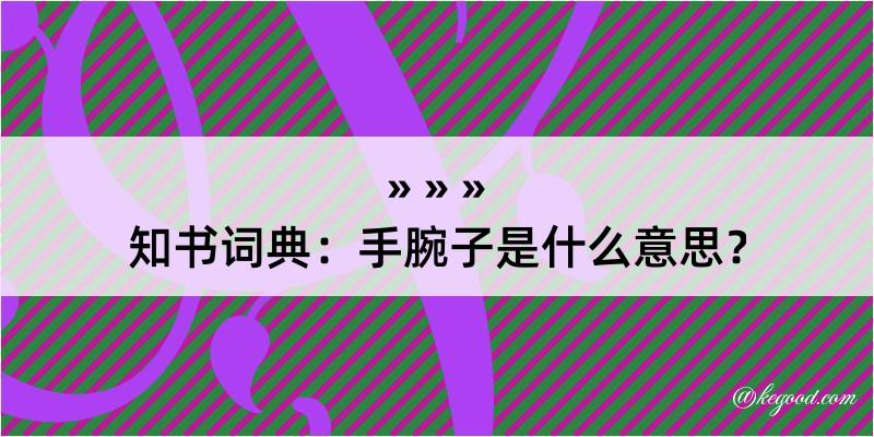 知书词典：手腕子是什么意思？