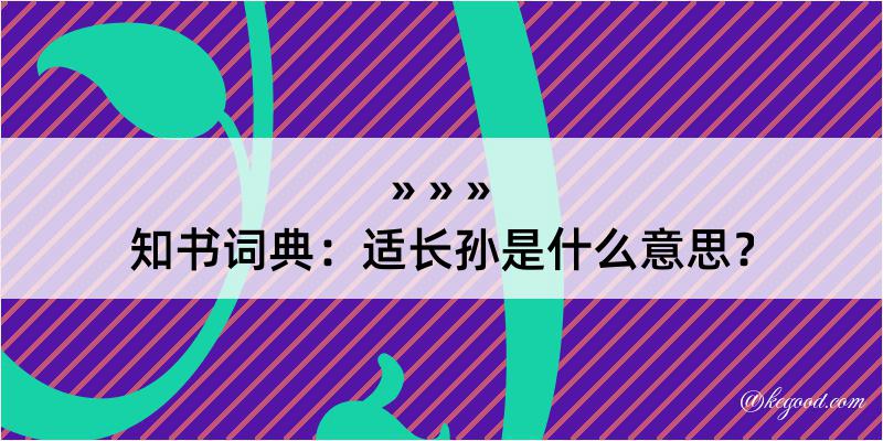 知书词典：适长孙是什么意思？