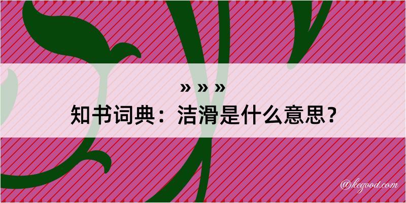 知书词典：洁滑是什么意思？