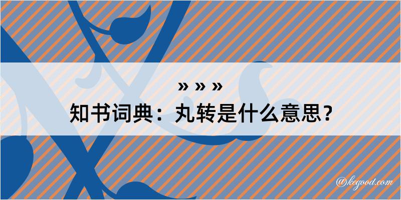 知书词典：丸转是什么意思？