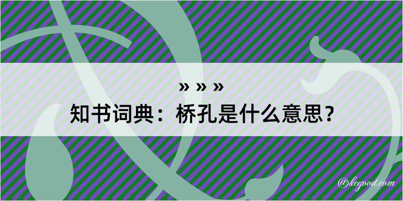 知书词典：桥孔是什么意思？