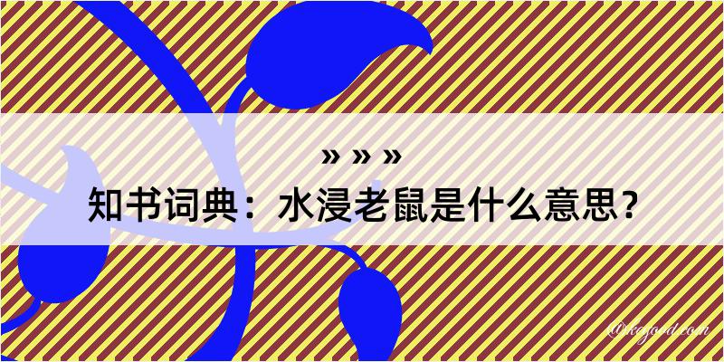 知书词典：水浸老鼠是什么意思？