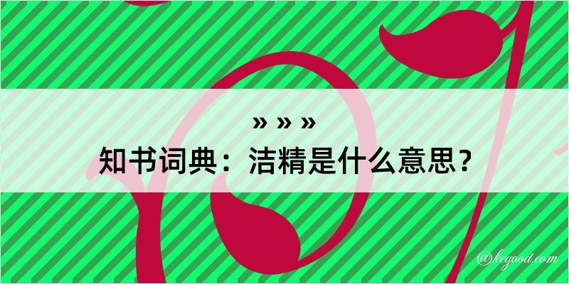 知书词典：洁精是什么意思？