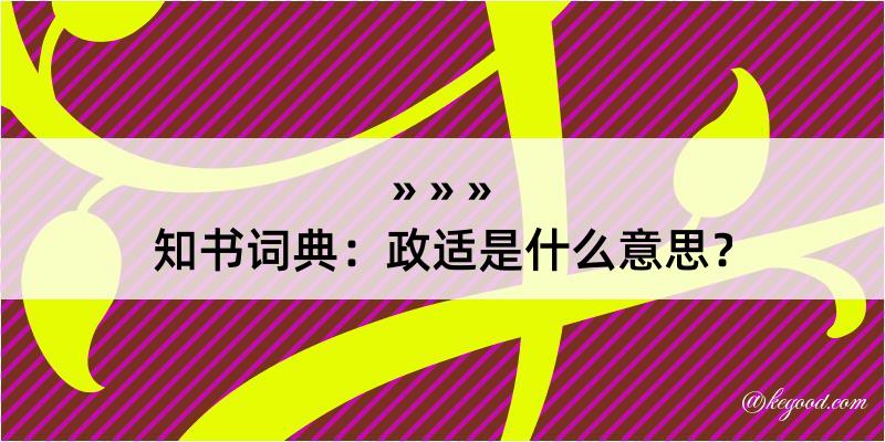 知书词典：政适是什么意思？