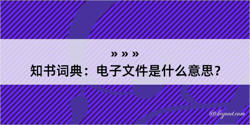 知书词典：电子文件是什么意思？