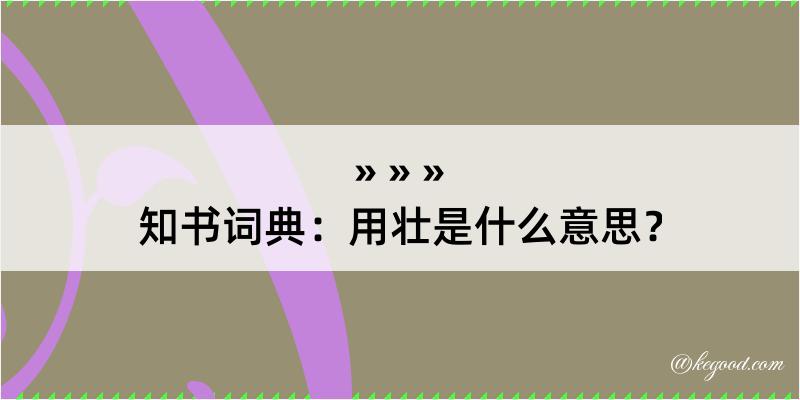 知书词典：用壮是什么意思？