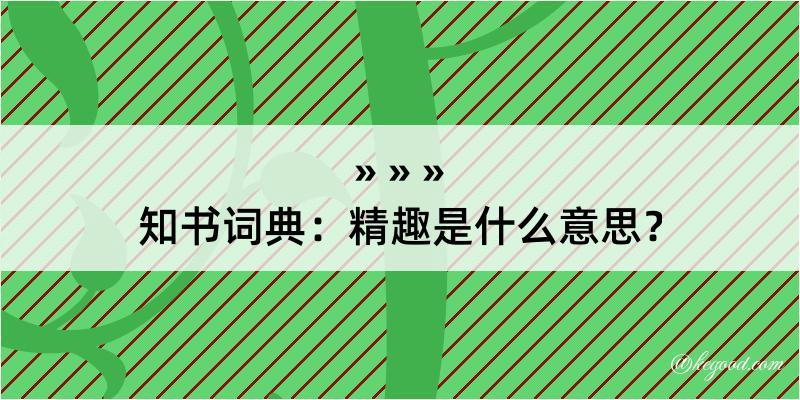 知书词典：精趣是什么意思？