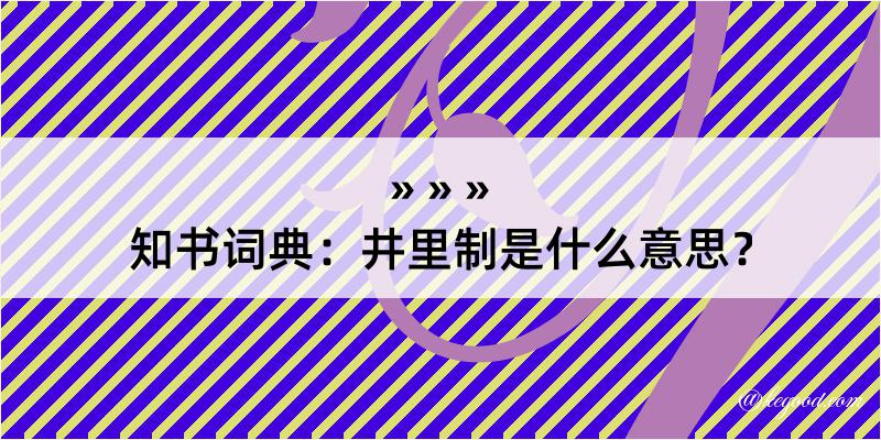 知书词典：井里制是什么意思？