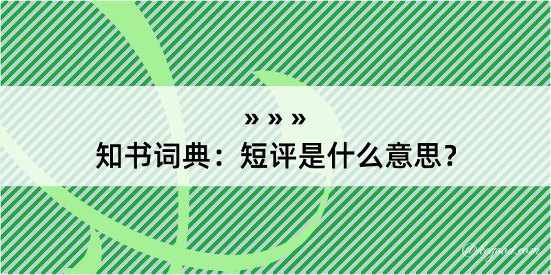 知书词典：短评是什么意思？