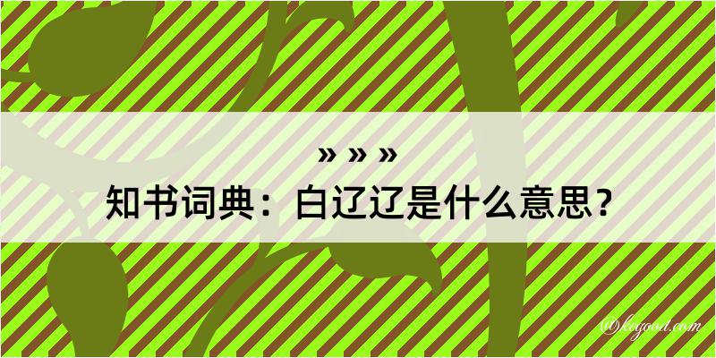 知书词典：白辽辽是什么意思？