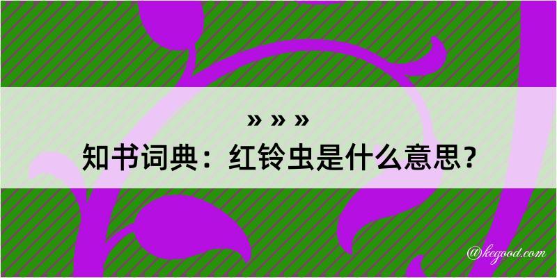 知书词典：红铃虫是什么意思？