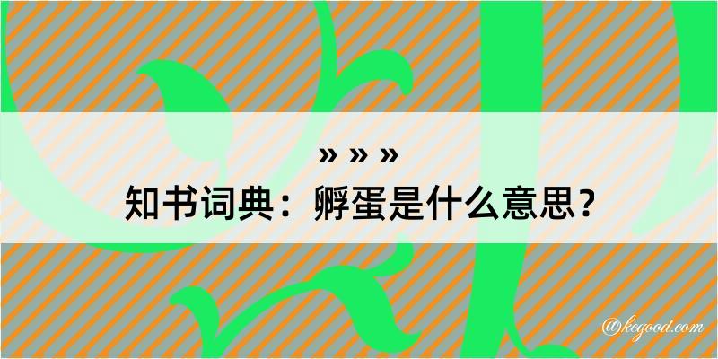 知书词典：孵蛋是什么意思？