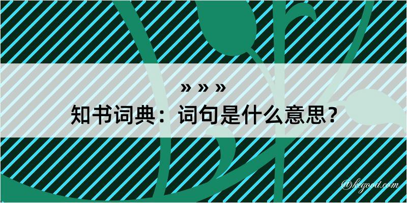 知书词典：词句是什么意思？