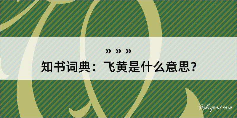 知书词典：飞黄是什么意思？