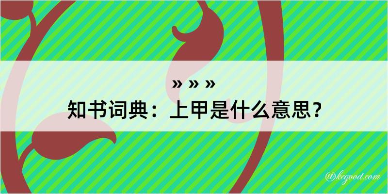 知书词典：上甲是什么意思？