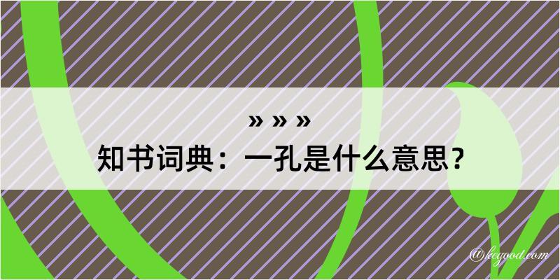 知书词典：一孔是什么意思？