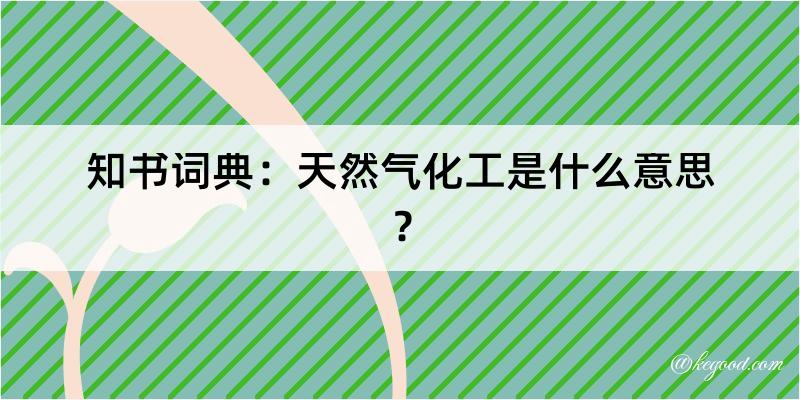 知书词典：天然气化工是什么意思？