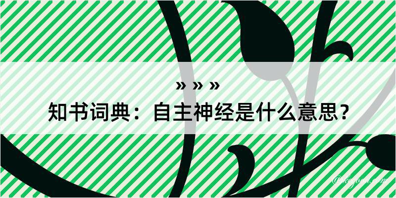 知书词典：自主神经是什么意思？