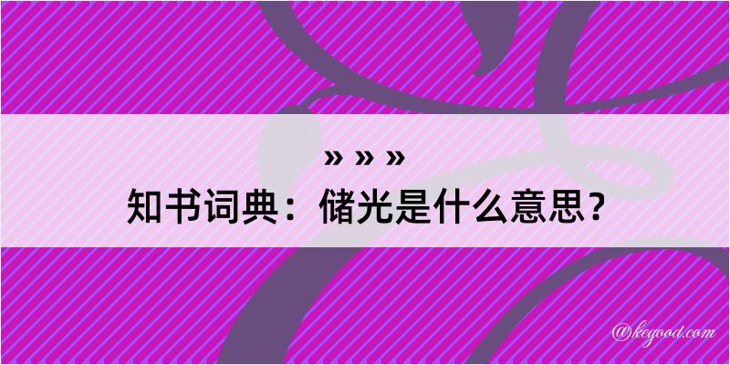 知书词典：储光是什么意思？