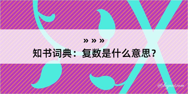 知书词典：复数是什么意思？