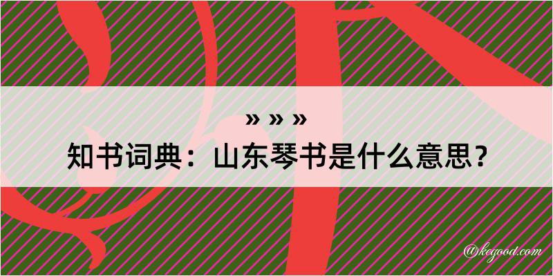 知书词典：山东琴书是什么意思？