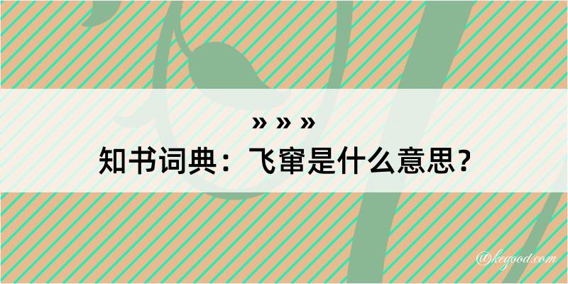 知书词典：飞窜是什么意思？