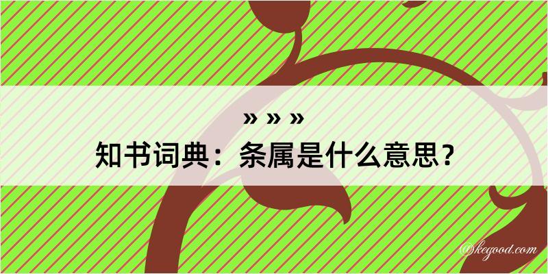 知书词典：条属是什么意思？