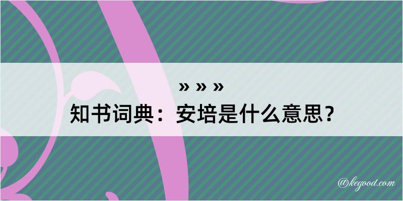 知书词典：安培是什么意思？