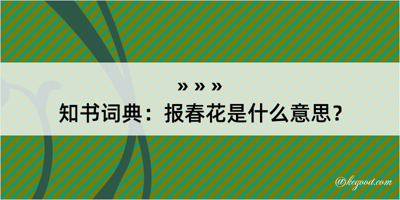 知书词典：报春花是什么意思？