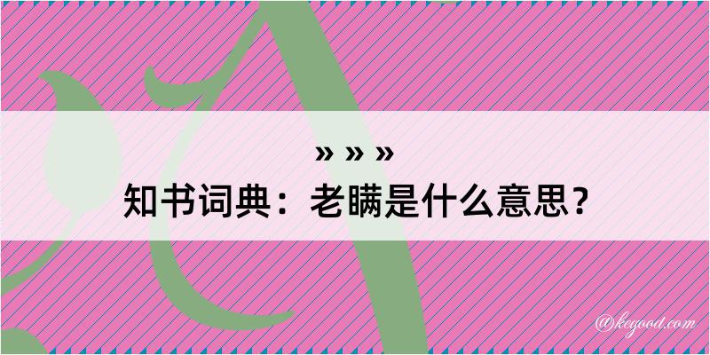 知书词典：老瞒是什么意思？