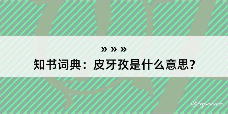 知书词典：皮牙孜是什么意思？