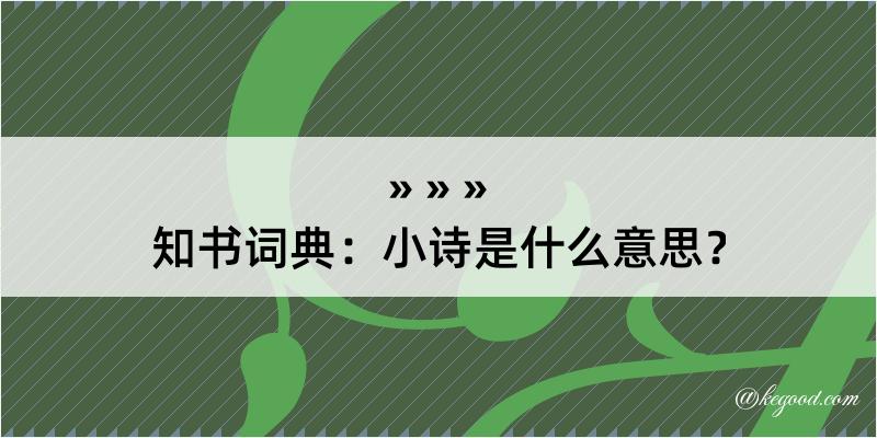 知书词典：小诗是什么意思？