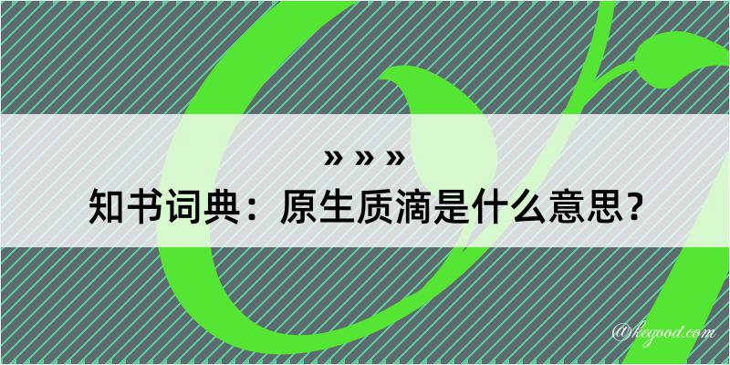 知书词典：原生质滴是什么意思？