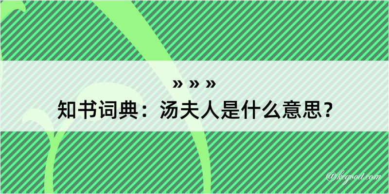 知书词典：汤夫人是什么意思？