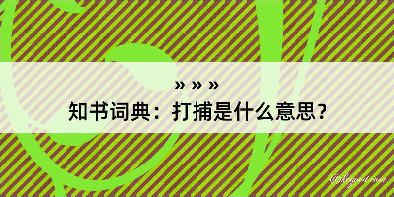 知书词典：打捕是什么意思？