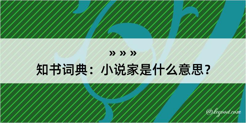 知书词典：小说家是什么意思？