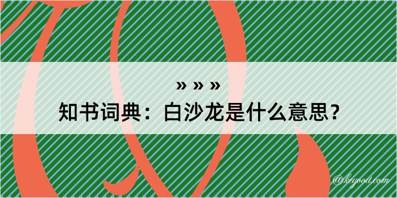 知书词典：白沙龙是什么意思？