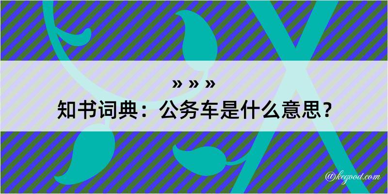 知书词典：公务车是什么意思？