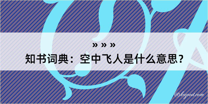 知书词典：空中飞人是什么意思？