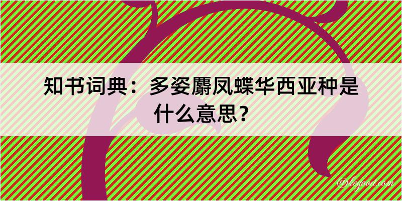 知书词典：多姿麝凤蝶华西亚种是什么意思？