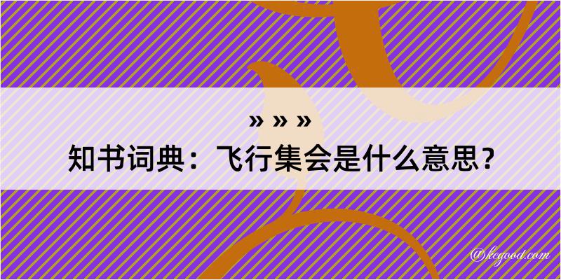 知书词典：飞行集会是什么意思？