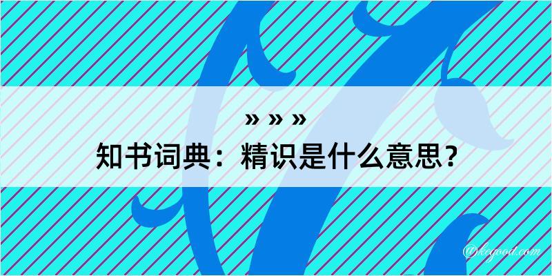 知书词典：精识是什么意思？