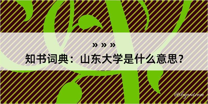 知书词典：山东大学是什么意思？